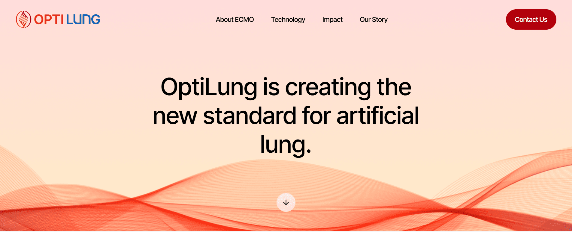 OptiLung website preview